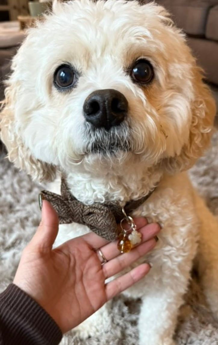 Jasper collar charm, animal Crystal healing, confidence, stress relieving