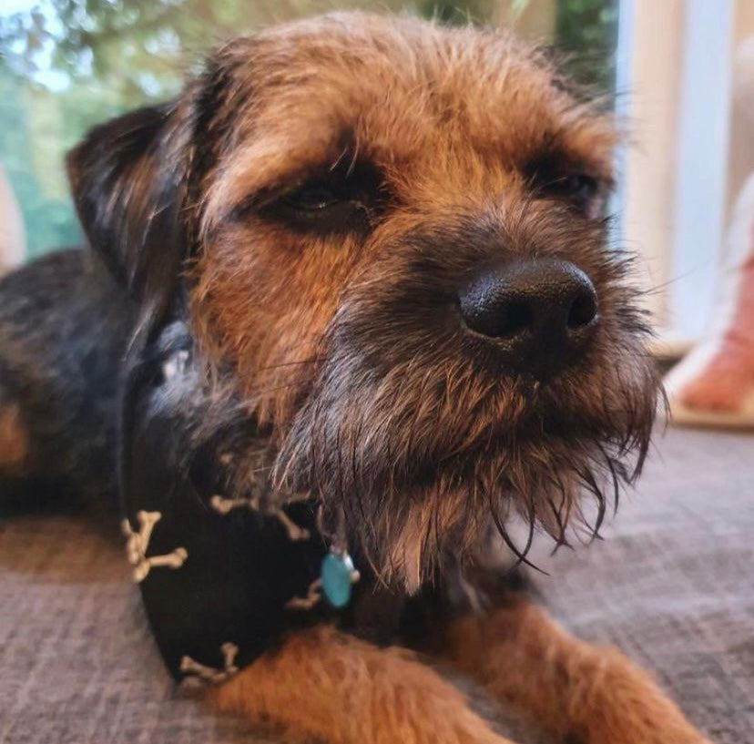 Blue quartz collar charm - happiness stone