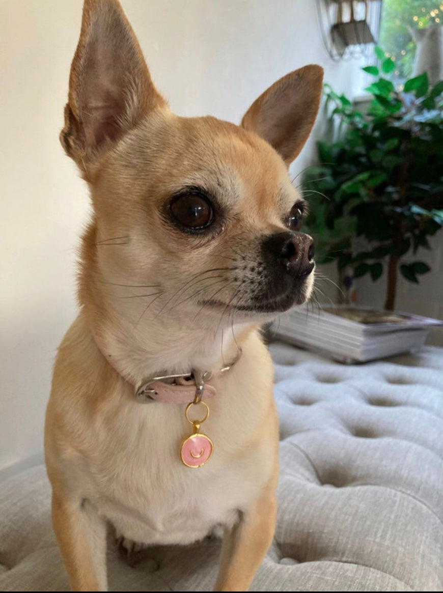 Enamel collar charm - Pet ID tag