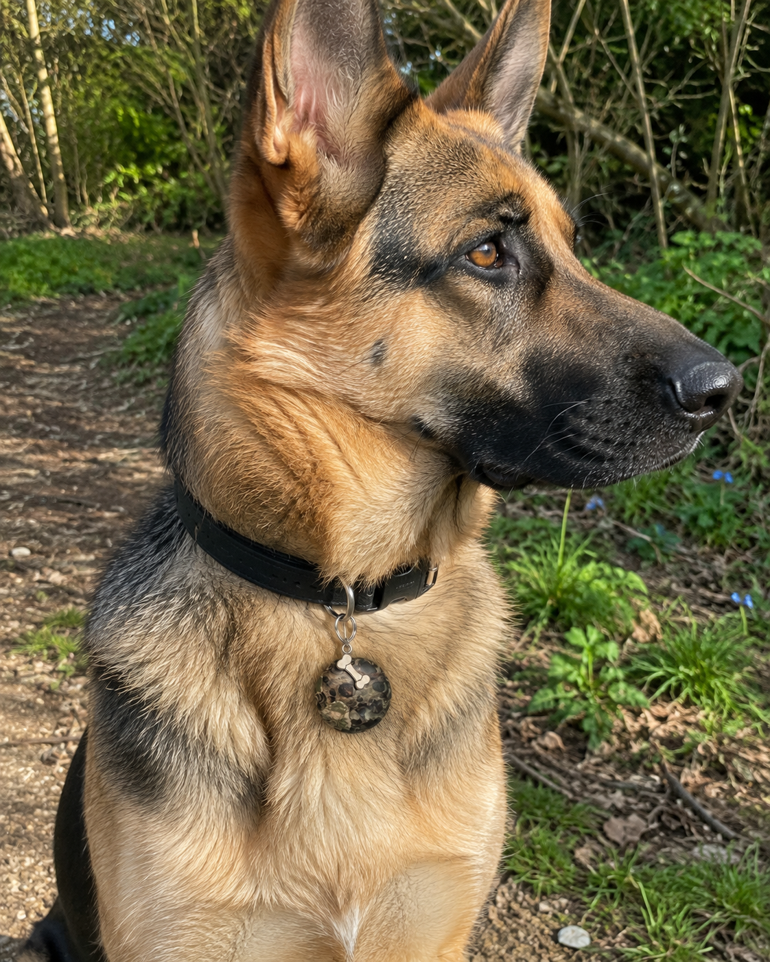 Cherry Creek Jasper XL dog collar charm | calming stones for dogs | nervousness and reactivity