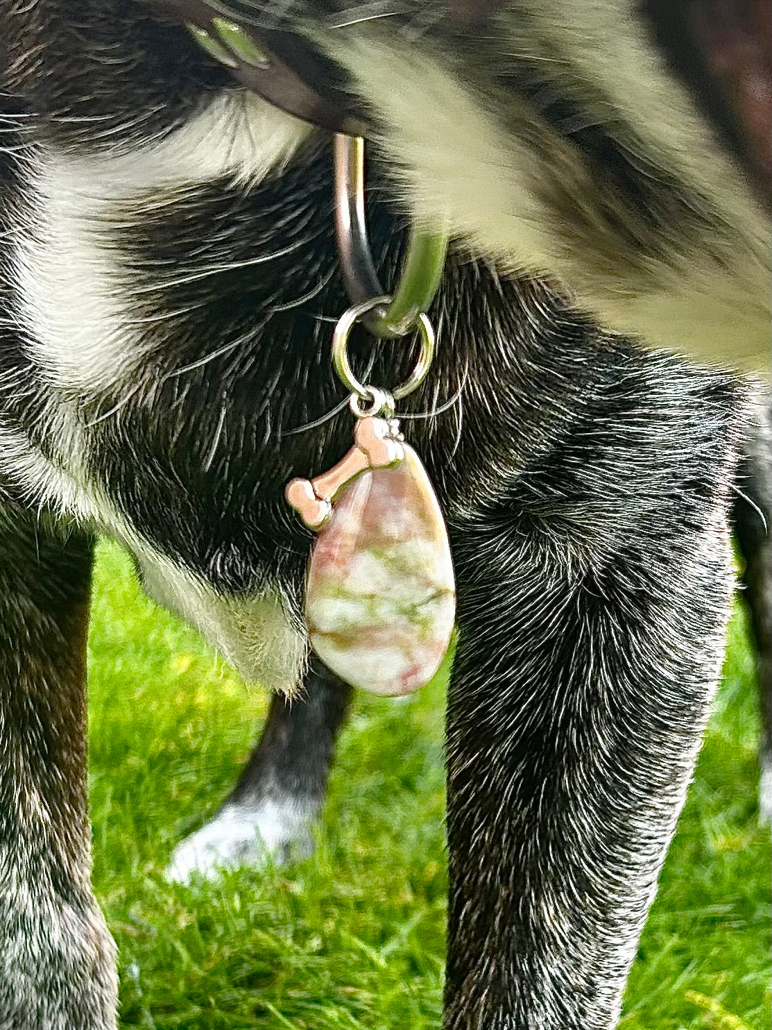 XL calming crystal pet collar charm - Agate | stress relieving, for nervous dogs