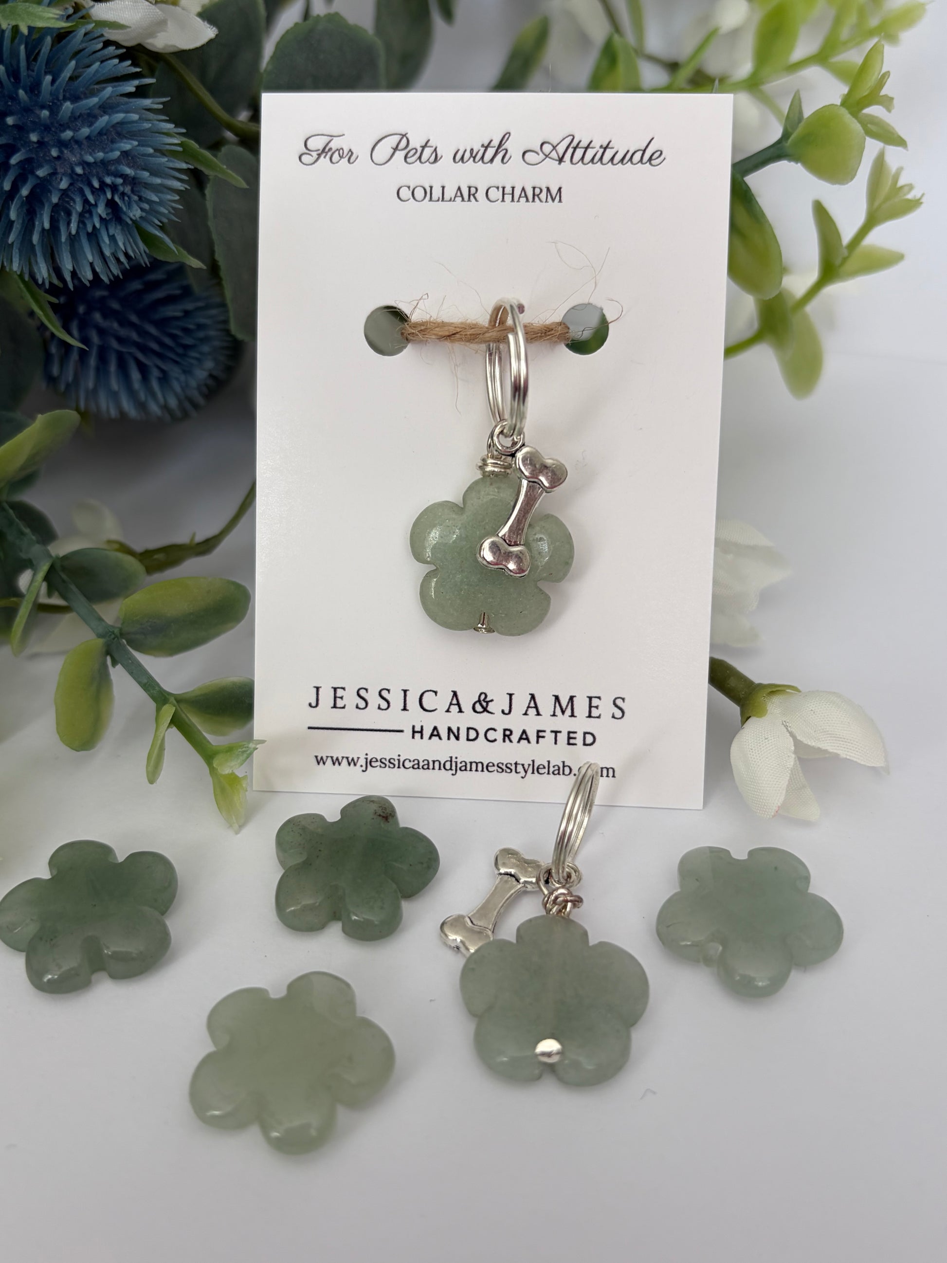 Cute accessories for dogs in green 