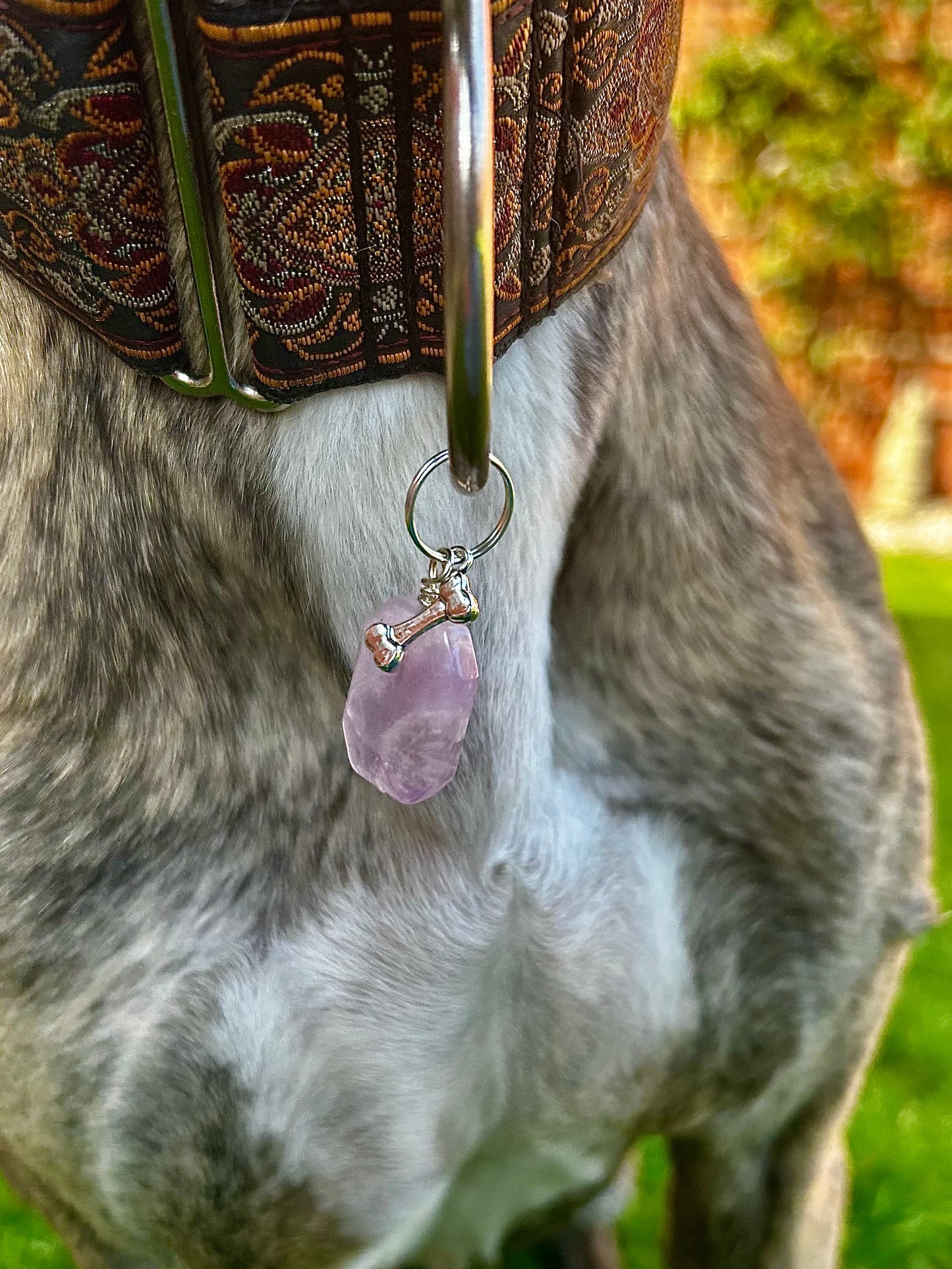 Anti anxiety amethyst dog collar charm for large dogs by Jessica and James stylelab
