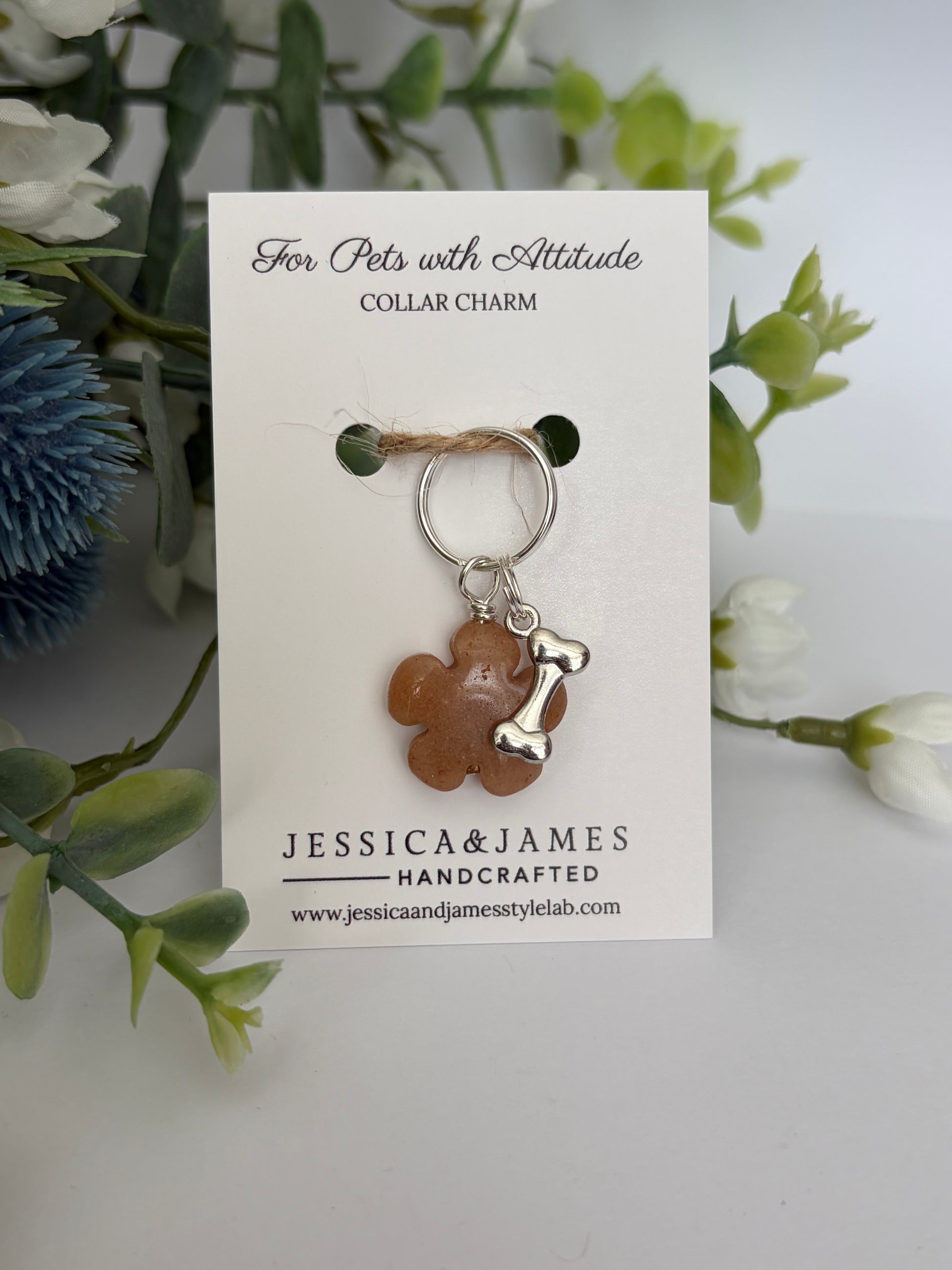 A pet collar charm displayed on a white branded card. The charm features a terracotta-colored paw print and a silver-tone bone, attached to a silver split ring.