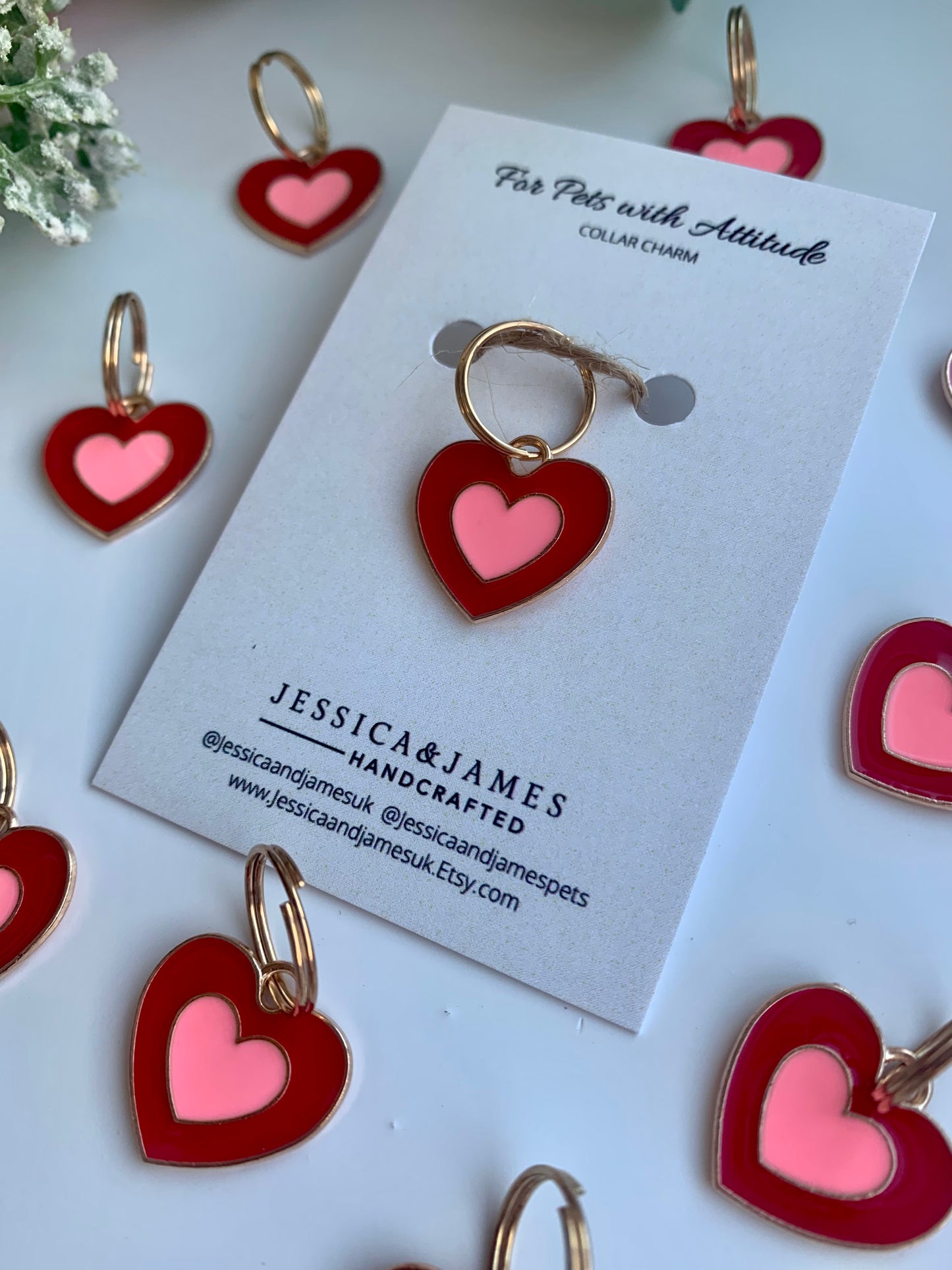 Luxury jewellery for dogs, collar harness charm