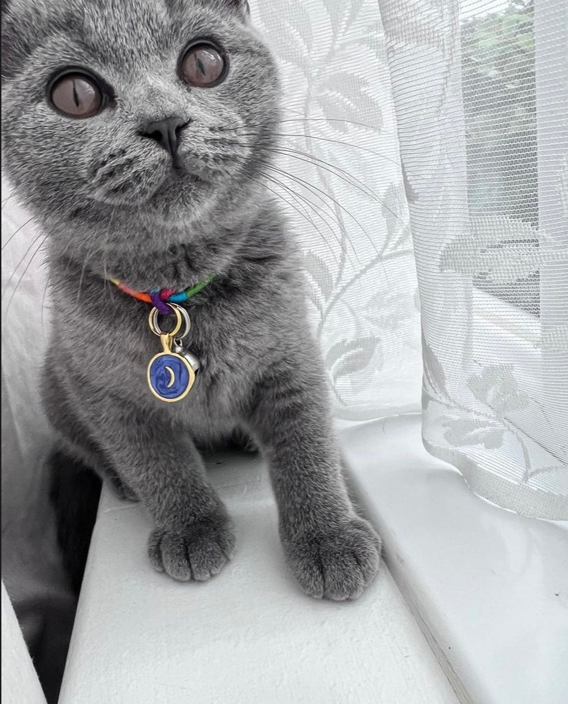 Enamel collar charm - Pet ID tag
